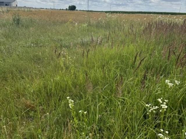 Grunt na sprzedaż w Zatorze, Leszno