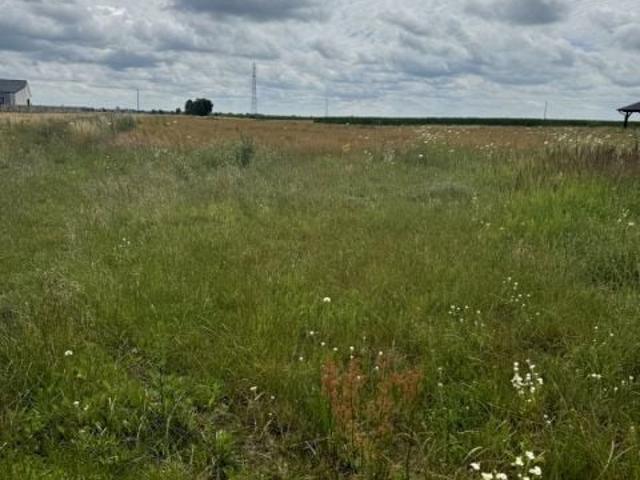 Grunt na sprzedaż w Leszno, Wielkopolskie