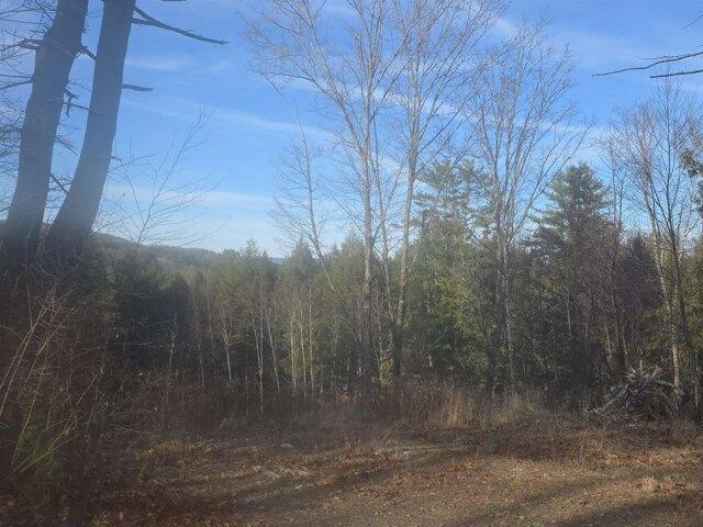 Land for sale in Springfield, Vermont
