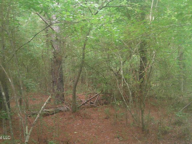 Land for sale in Smithville, Mississippi