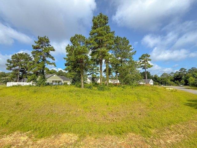 Land for sale in Moultrie, Georgia