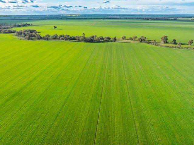 Cottage for sale in Bidgeemia, New South Wales