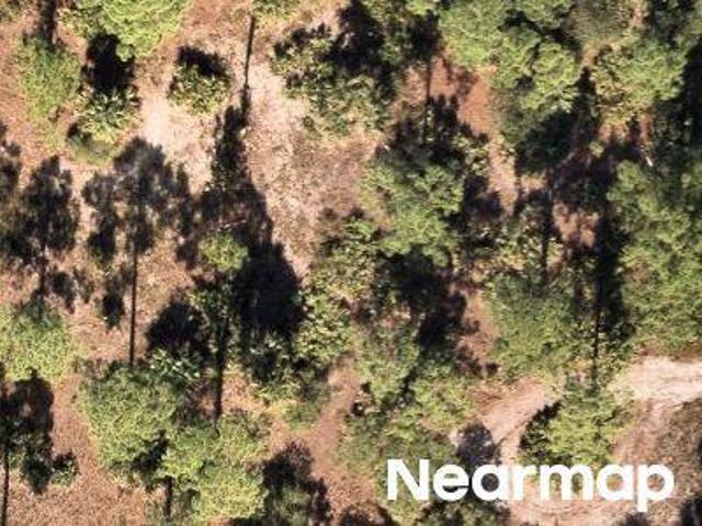 Land for sale in Florida