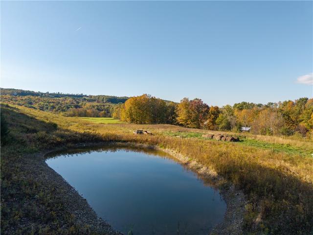 Land for sale in Village of Dansville, Steuben County