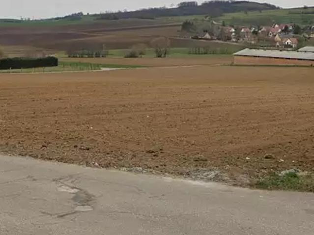 Terrain vente à Willgottheim