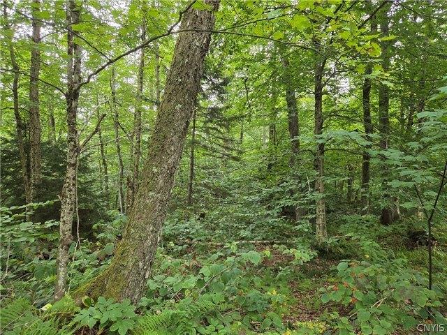 Land for sale in Essex, New York
