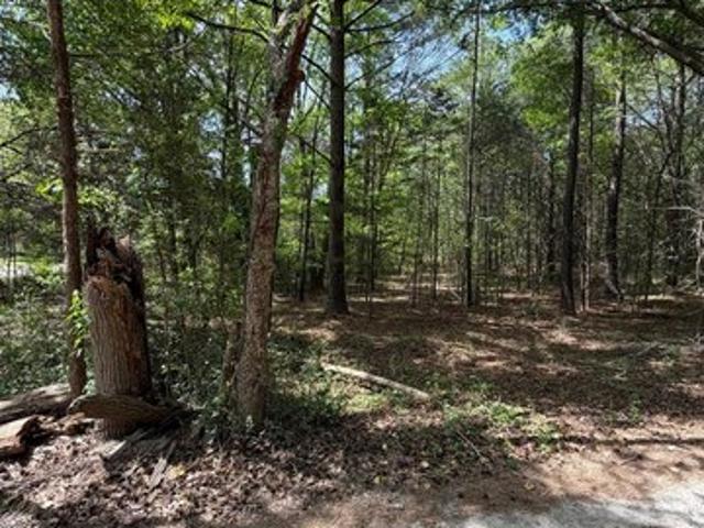 Land for sale in Richburg, South Carolina