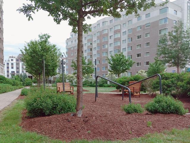 Apartment for rent in Mulhurst Bay, Ontario