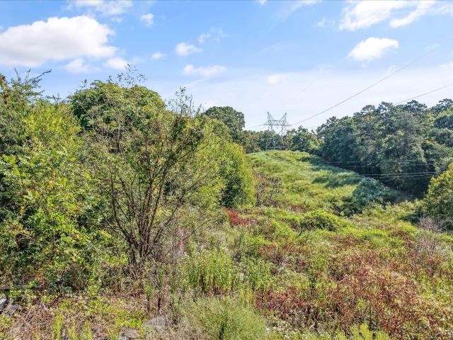 Land for sale in Tennessee