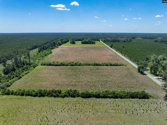 Land for sale in Hemingway, South Carolina