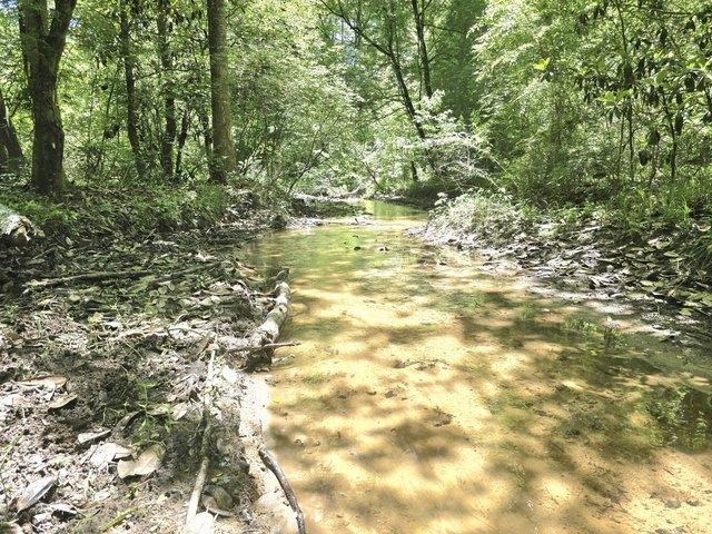Land for sale in Clayton, Alabama