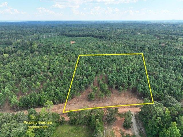 Land for sale in Wadley, Alabama