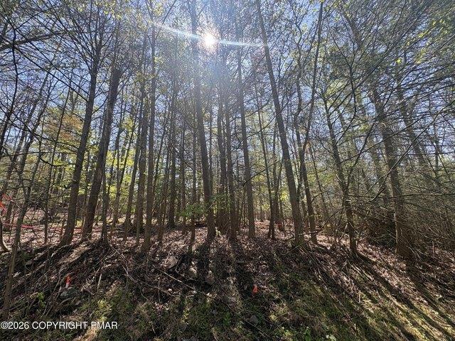 Land for sale in East Stroudsburg, Pennsylvania
