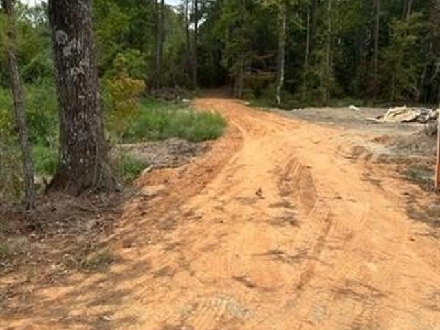 Land for sale in Ball, Louisiana