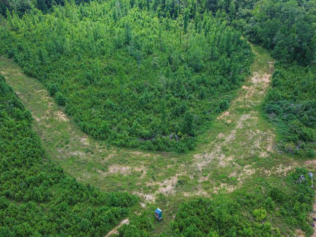 Land for sale in Eupora, Mississippi
