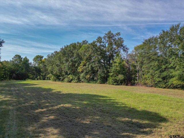 Land for sale in Whitehouse, Smith County