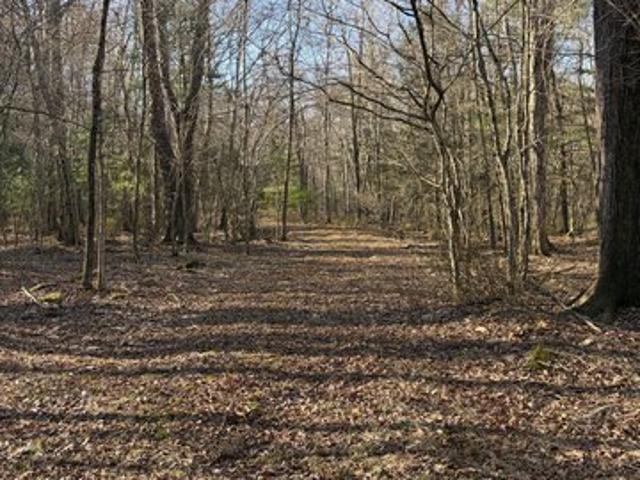 Land for sale in Willington, Connecticut