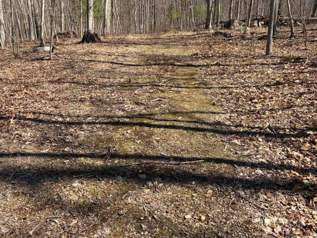 Land for sale in Willington, Connecticut