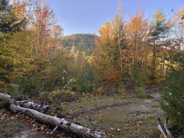 Land for sale in New Hampshire