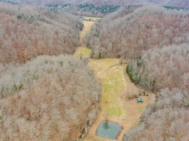 Land for sale in Albany, Kentucky