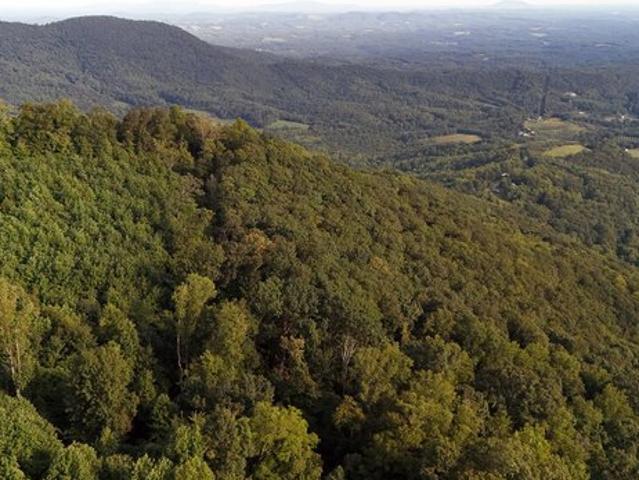 Land for sale in Ararat, Patrick County