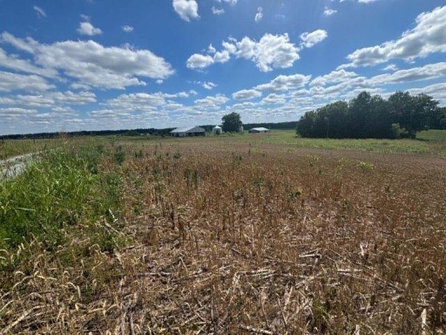 Land for sale in Columbia, Kentucky