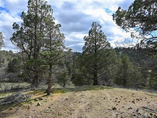 Land for sale in Montague, California