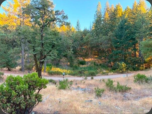 Land for sale in Willits, Mendocino County