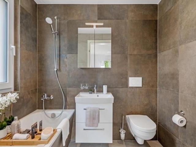 Apartment mieten in Birrhard