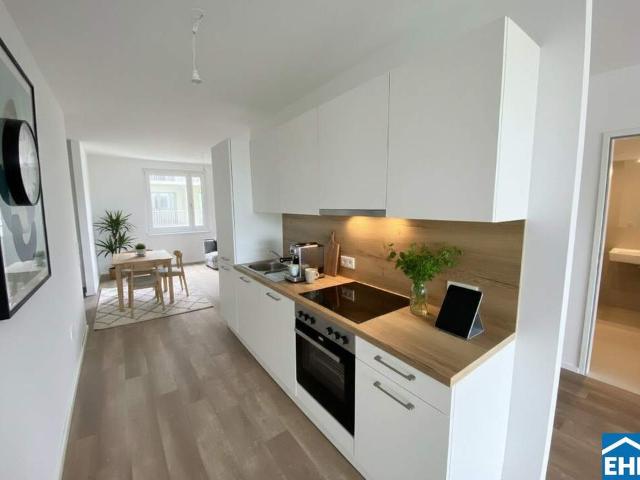 Wohnung mieten in Tulln an der Donau, Niederösterreich