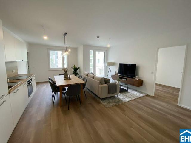 Wohnung mieten in Tulln an der Donau, Niederösterreich