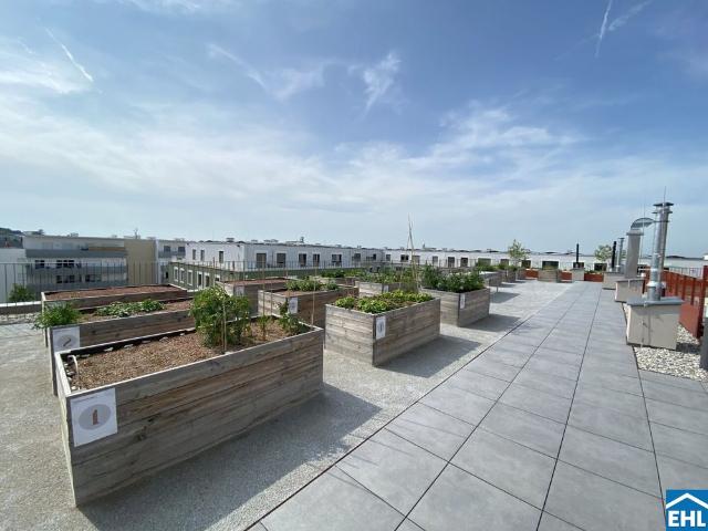 Apartment mieten in Michelhausen, Niederösterreich