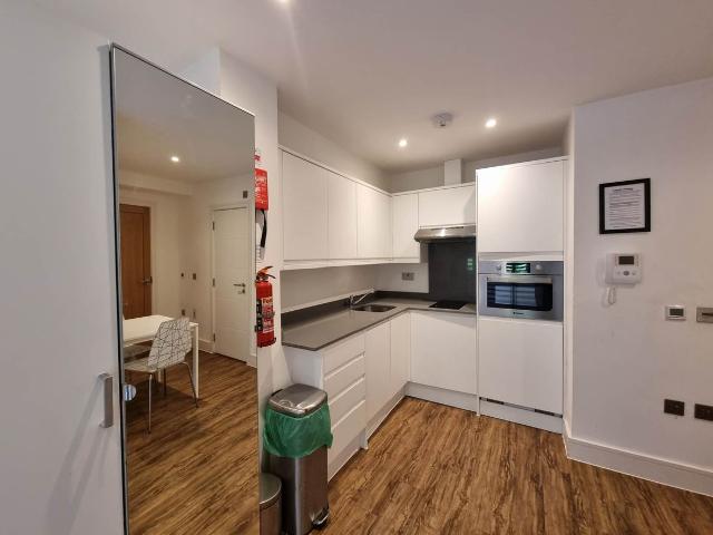 Studio for rent in Harringay Ladder, Greater London
