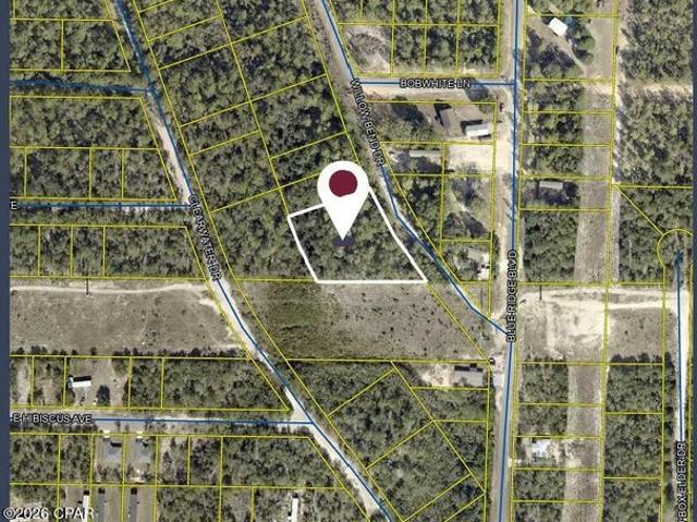 Land for sale in Walton, Florida