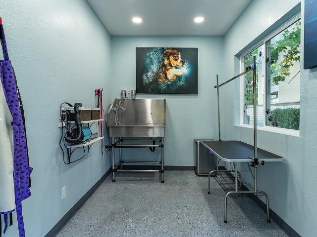 Apartment for rent in San Jose, California