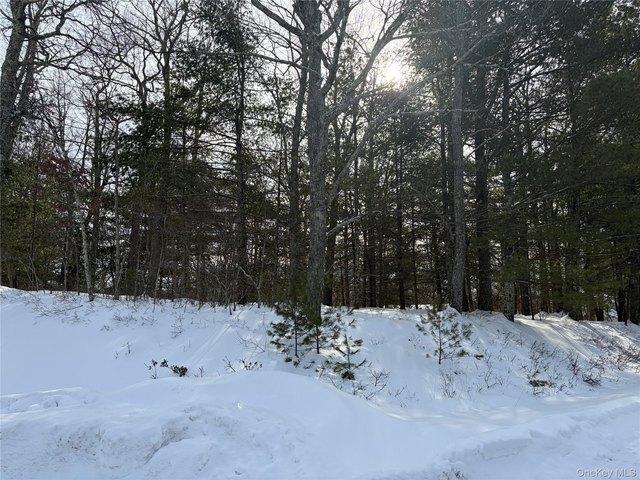 Land for sale in Glen Spey, New York