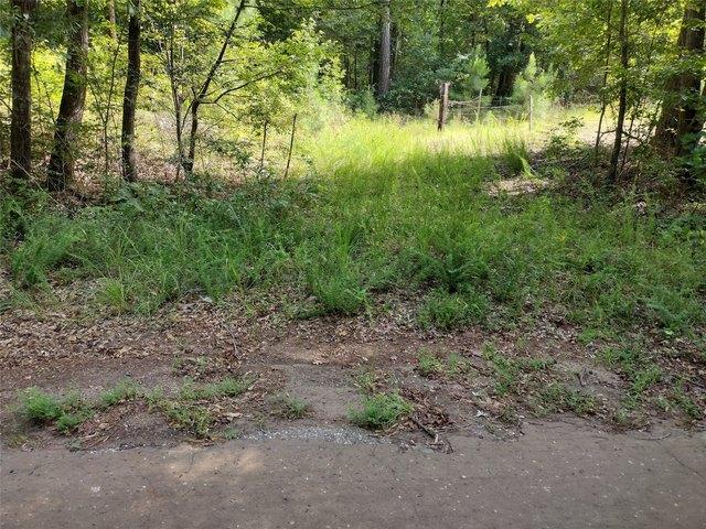Land for sale in Avinger, Texas