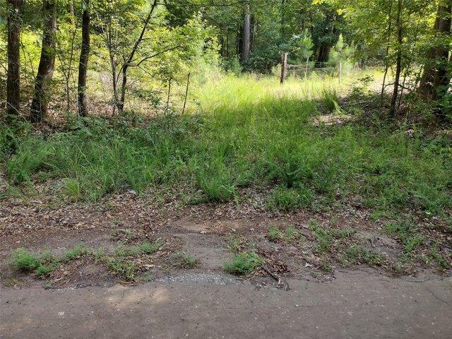 Land for sale in Avinger, Texas