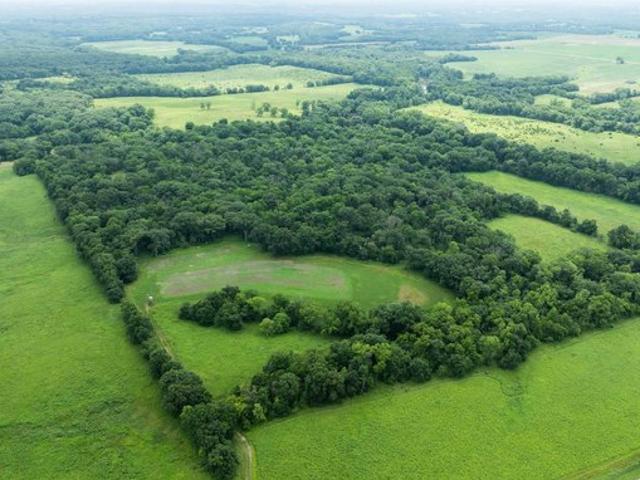 Land for sale in Stockport, Iowa