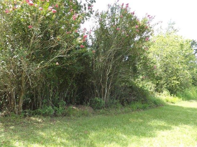 Land for sale in Wallis, Texas