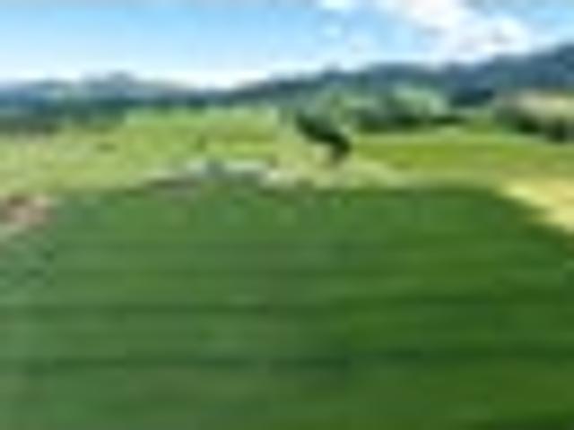 Land for sale in Gore, Southland