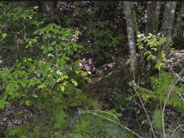 Land for sale in Warne