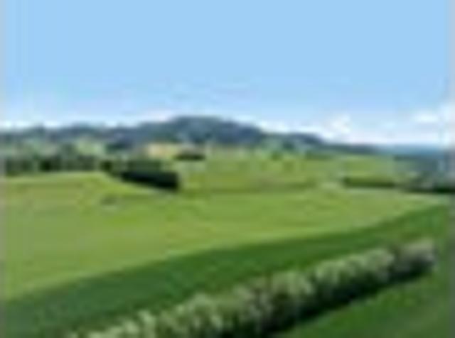 Land for sale in Gore, Gore District