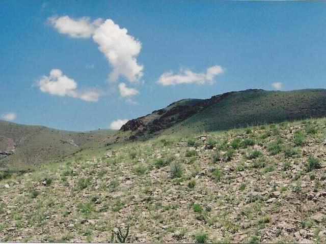Land for sale in New Mexico