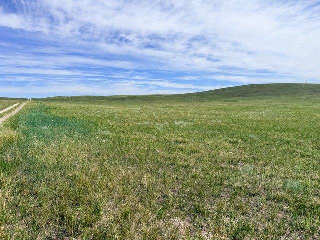 Land for sale in Montana