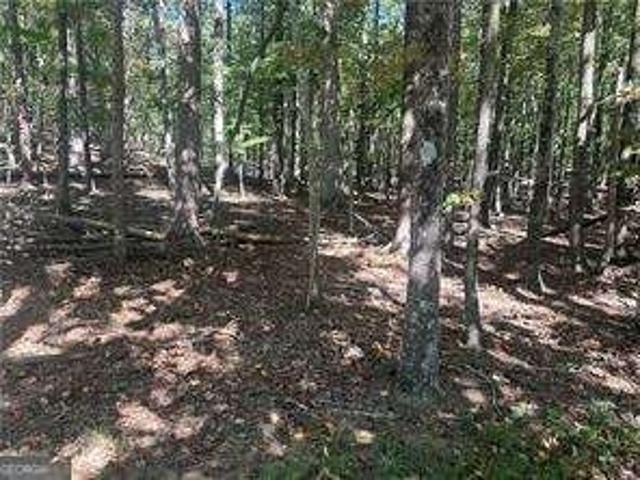 Land for sale in Pickens, Georgia