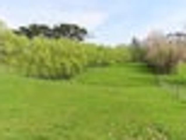 Land for sale in Tararua District