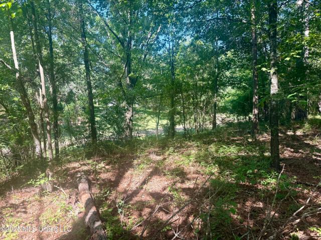 Land for sale in Flora, Mississippi