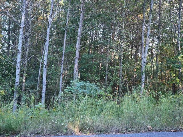 Land for sale in Blow Gourd, Cleveland