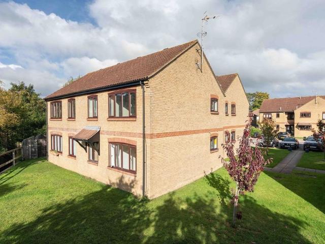 Apartment for rent in Rose Hill, Pachesham Park